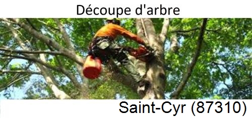 Entreprise du paysage Saint-Cyr-87310