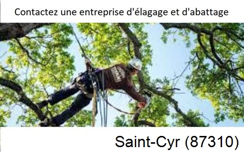 Travaux d'élagage à Saint-Cyr-87310