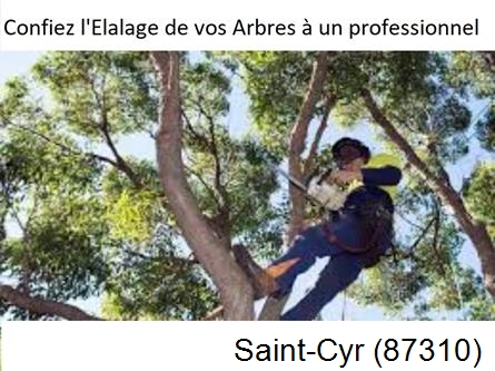 Société d'élagage à Saint-Cyr-87310