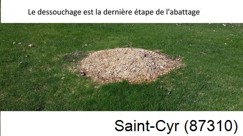 déssouchage d'arbres Saint-Cyr-87310