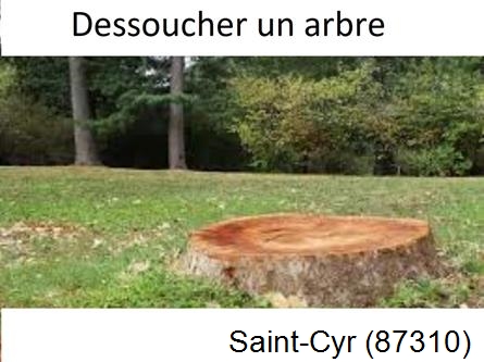 Travaux d'entretien extérieur Saint-Cyr-87310