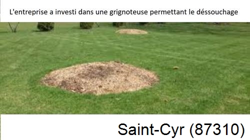Artisan pour déssouchage d'arbres Saint-Cyr-87310