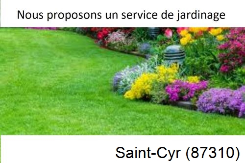 Paysagiste, travaux extérieur Saint-Denis-des-Murs-87400