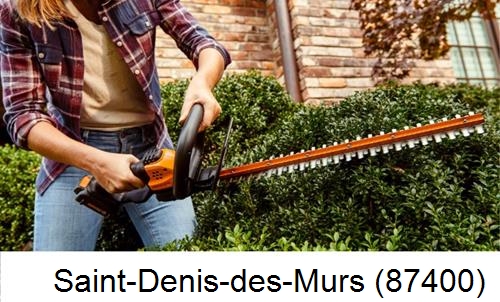 entretien jardin par paysagiste Saint-Denis-des-Murs-87400
