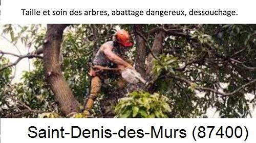 Abattage d'arbres Saint-Denis-des-Murs-87400
