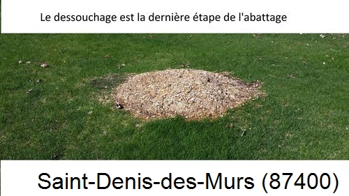 déssouchage d'arbres Saint-Denis-des-Murs-87400