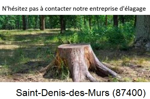 Elagage d'arbres à Saint-Denis-des-Murs-87400