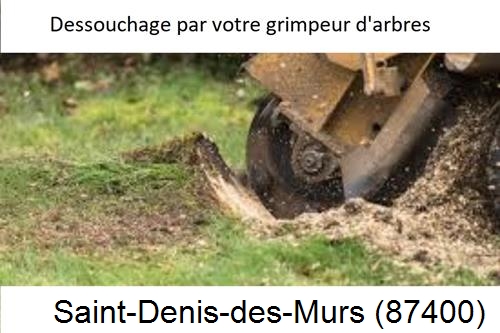 abattage d'arbres à Saint-Denis-des-Murs-87400