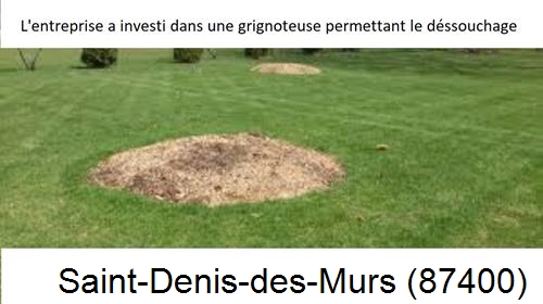 Artisan pour déssouchage d'arbres Saint-Denis-des-Murs-87400