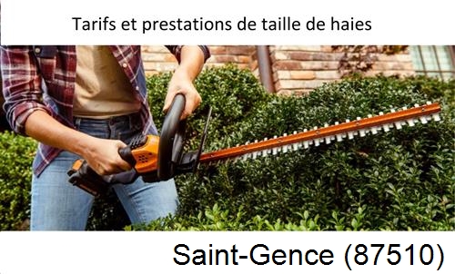 taille de haies Saint-Gence-87510