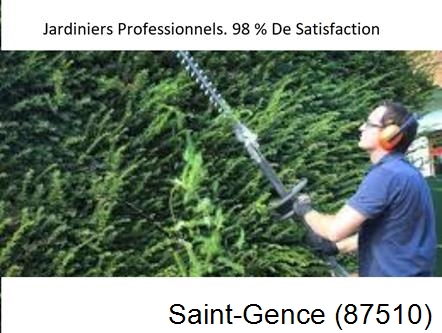 Paysagiste Saint-Gence-87510