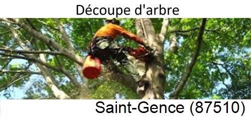 Entreprise du paysage Saint-Gence-87510