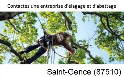 Travaux d'élagage à Saint-Gence-87510