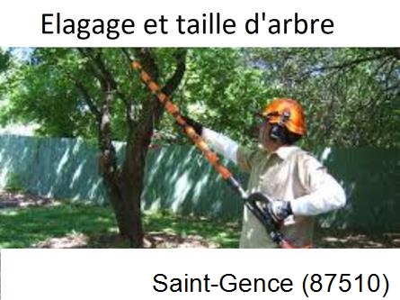 Elagage chez particulier Saint-Gence-87510