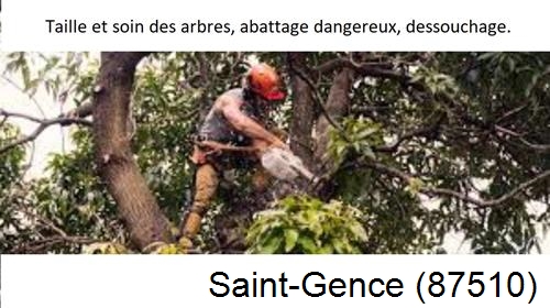 Abattage d'arbres Saint-Gence-87510
