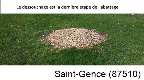 déssouchage d'arbres Saint-Gence-87510
