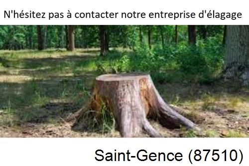 Elagage d'arbres à Saint-Gence-87510
