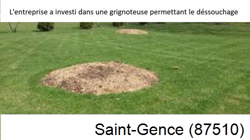 Artisan pour déssouchage d'arbres Saint-Gence-87510