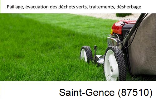 Entreprise de paysage pour entretien de jardin Saint-Genest-sur-Roselle-87260