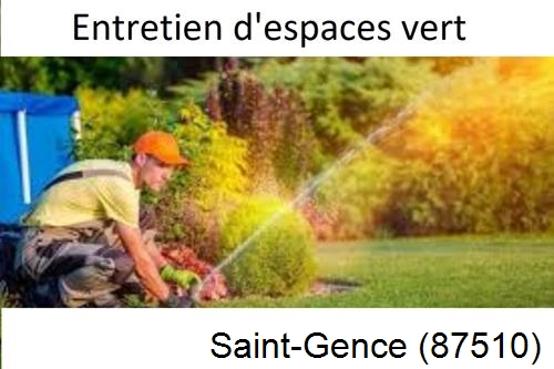 Aménagement extérieur à Saint-Genest-sur-Roselle-87260