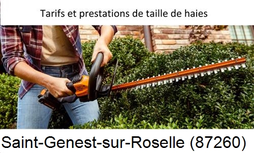 taille de haies Saint-Genest-sur-Roselle-87260