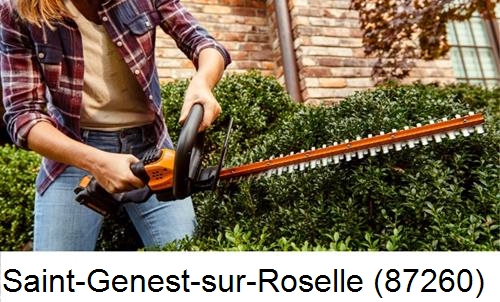 entretien jardin par paysagiste Saint-Genest-sur-Roselle-87260