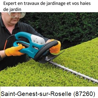 Taille et entretien jardin Saint-Genest-sur-Roselle-87260