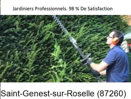 Paysagiste Saint-Genest-sur-Roselle-87260