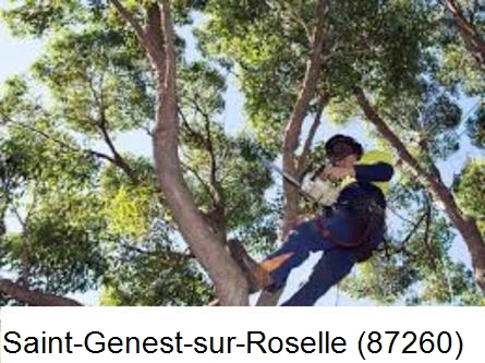 Elagueur à Saint-Genest-sur-Roselle-87260