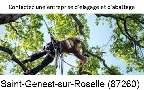 Travaux d'élagage à Saint-Genest-sur-Roselle-87260