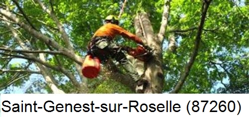 Entreprise du paysage Saint-Genest-sur-Roselle-87260