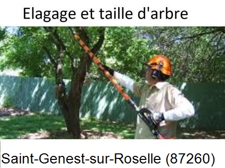 Elagage chez particulier Saint-Genest-sur-Roselle-87260