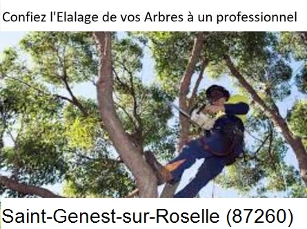 Société d'élagage à Saint-Genest-sur-Roselle-87260