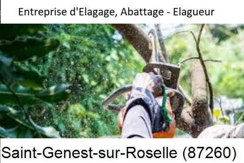 Travaux d'abattage d'arbres à Saint-Genest-sur-Roselle-87260