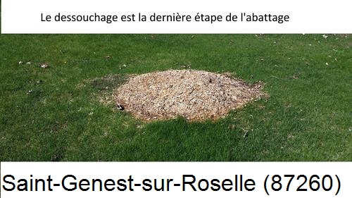 déssouchage d'arbres Saint-Genest-sur-Roselle-87260