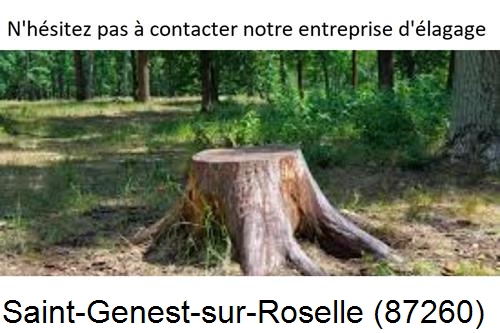 Elagage d'arbres à Saint-Genest-sur-Roselle-87260