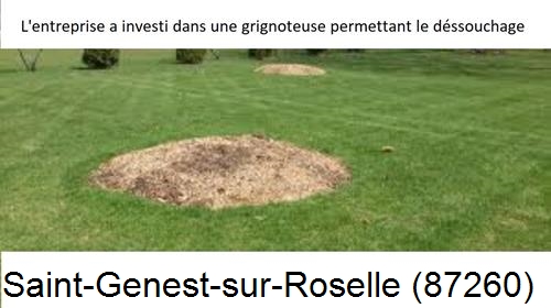 Artisan pour déssouchage d'arbres Saint-Genest-sur-Roselle-87260