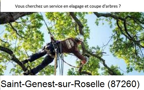 Etêtage d'arbres à Saint-Genest-sur-Roselle-87260