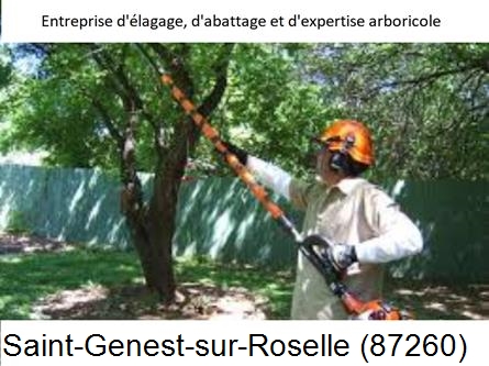 Coupe tête d'arbres Saint-Genest-sur-Roselle-87260