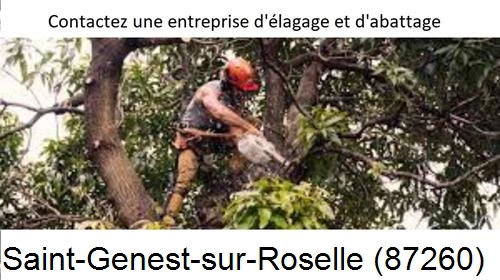 Entreprise d'élagage à Saint-Genest-sur-Roselle-87260