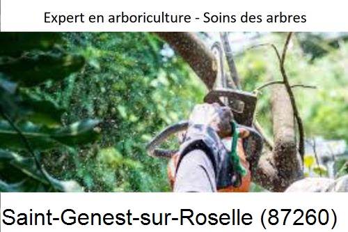 Elagage en sécurité à Saint-Genest-sur-Roselle-87260