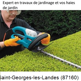 Taille et entretien jardin Saint-Georges-les-Landes-87160