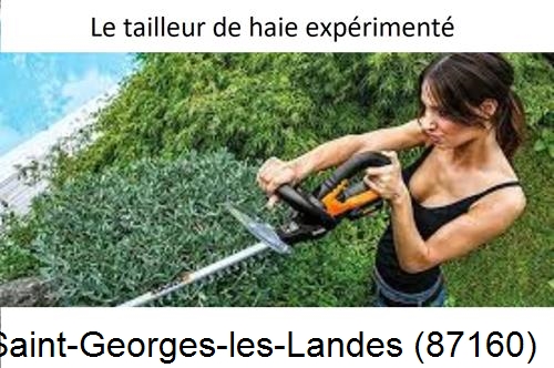 entretien jardin à Saint-Georges-les-Landes-87160