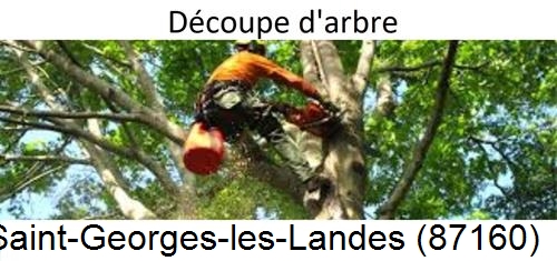 Entreprise du paysage Saint-Georges-les-Landes-87160