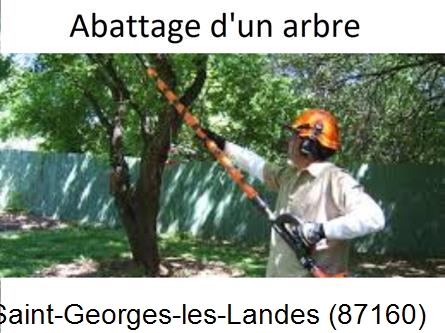 Etêtage et abattage d'un arbre Saint-Georges-les-Landes-87160