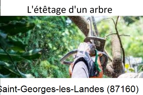 Artisan Abatteur d'arbres Saint-Georges-les-Landes-87160