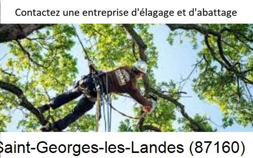 Travaux d'élagage à Saint-Georges-les-Landes-87160