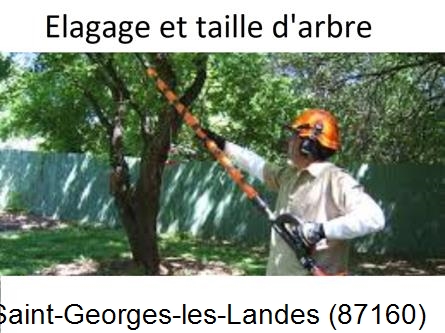Elagage chez particulier Saint-Georges-les-Landes-87160