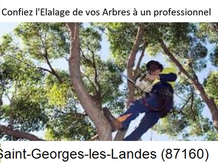 Société d'élagage à Saint-Georges-les-Landes-87160
