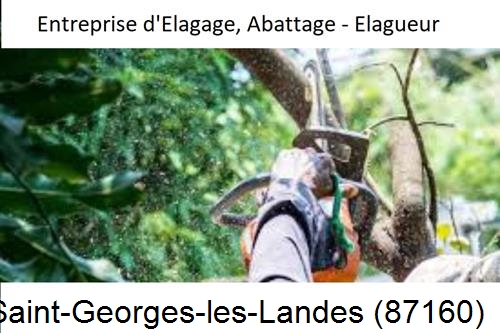 Travaux d'abattage d'arbres à Saint-Georges-les-Landes-87160